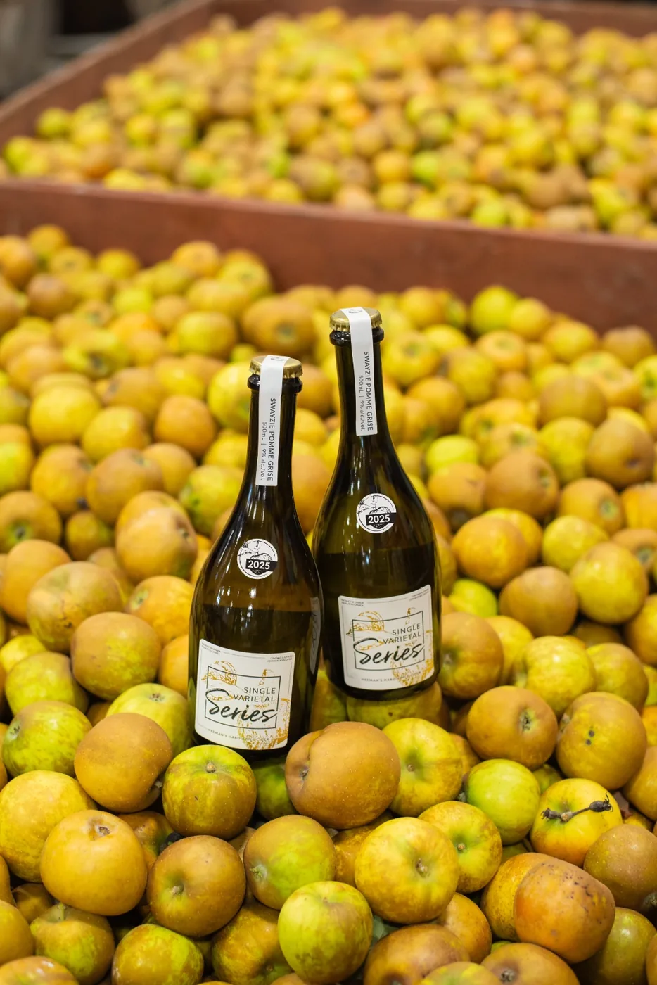 Two bottles of Swayzie Pomme Grise standing in a wooden bin filled with russeted apples inside the cellar.