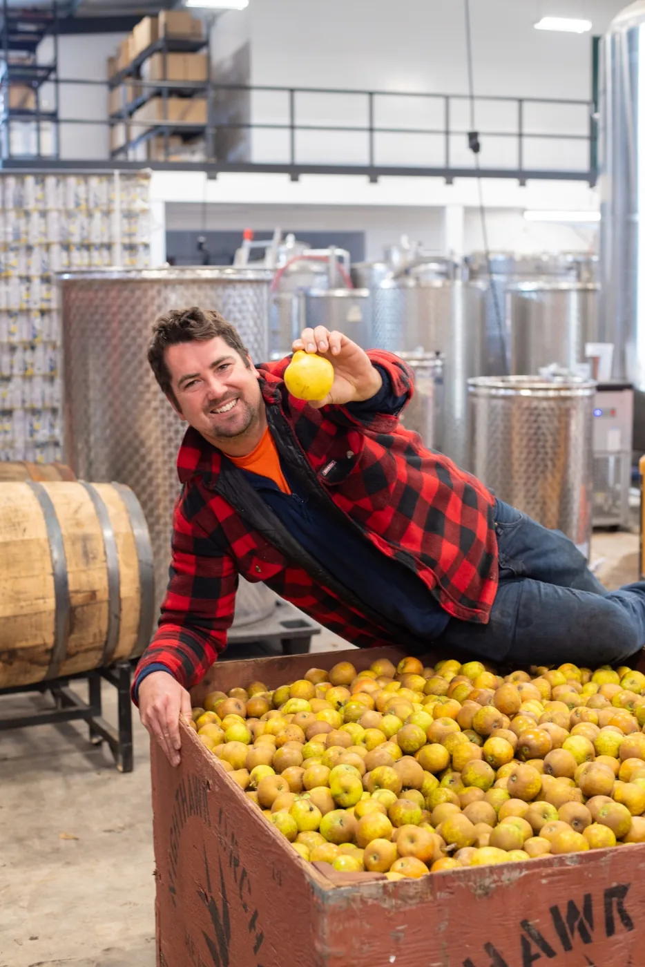 Tom Heeman in a red plaid jacket leaning over a large bin of russeted apples, holding one up to the camera, stainless fermentation tanks behind.